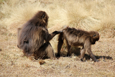 Similar image 21436321