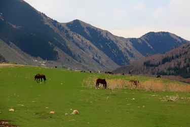 Similar image 21436518