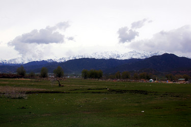 Similar image 21436519