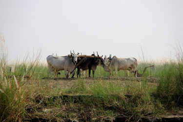 Similar image 21478457