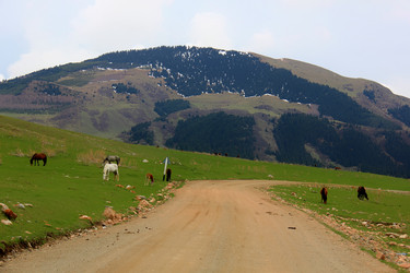 Similar image 21478460