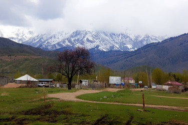 Similar image 21478463