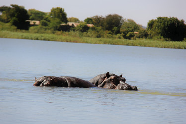 Similar image 21436522