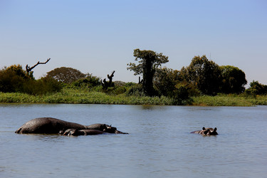 Similar image 21444697