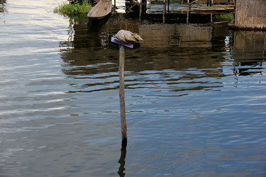 Similar image 21478465