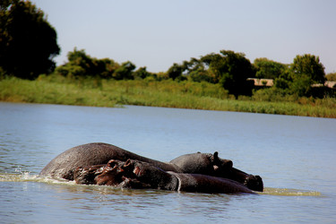 Similar image 21478467