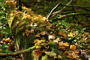 Similar image 21436534