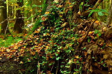 Similar image 21444701