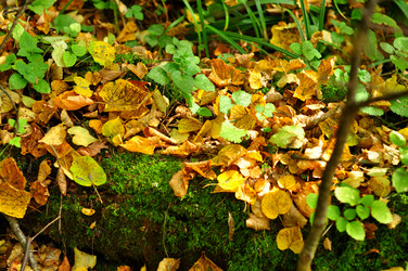 Similar image 21462986