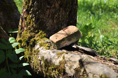 Similar image 21436336