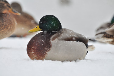 Similar image 21444702