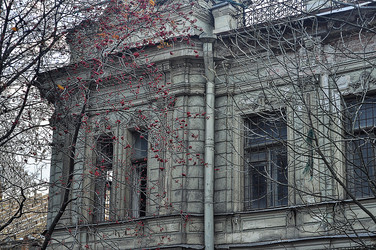 Similar image 21478509