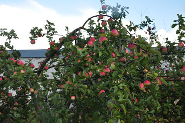 Similar image 21435843