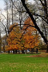 Similar image 21436343