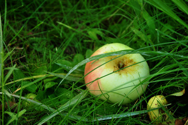 Similar image 21436344