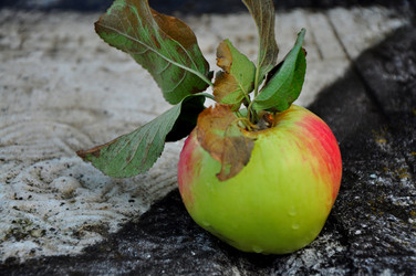 Similar image 21436346