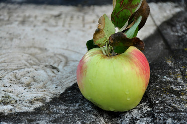 Similar image 21436348