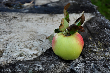 Similar image 21436544