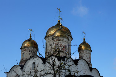 Similar image 21436548