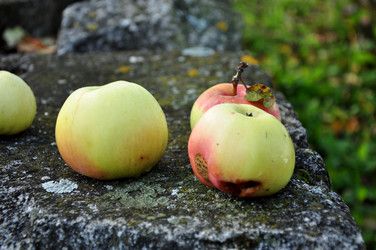 Similar image 21462988