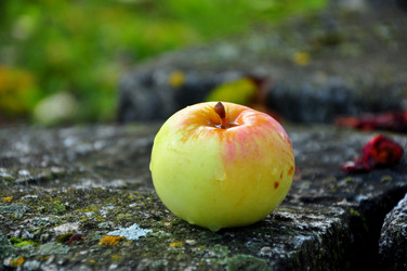 Similar image 21478520