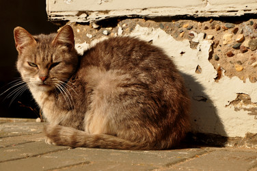 Similar image 21478523