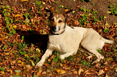 Similar image 21478528