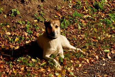 Similar image 21478529