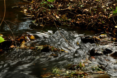 Similar image 21478532