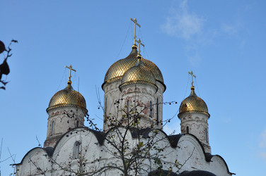 Similar image 21478918