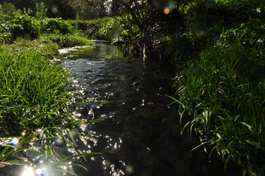 Similar image 21480655