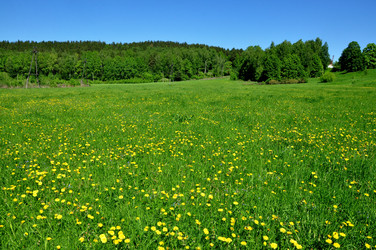 Similar image 21436555