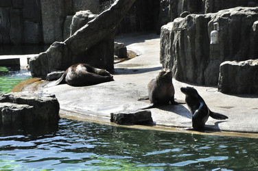 Similar image 21478543