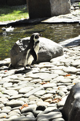 Similar image 21478550