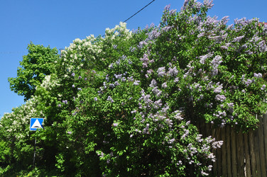 Similar image 21478561