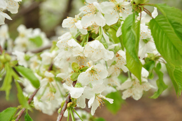 Similar image 21478566