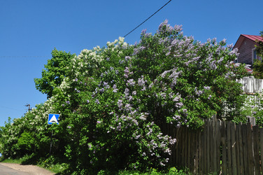 Similar image 21478567