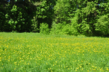 Similar image 21478571