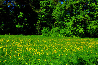 Similar image 21480660