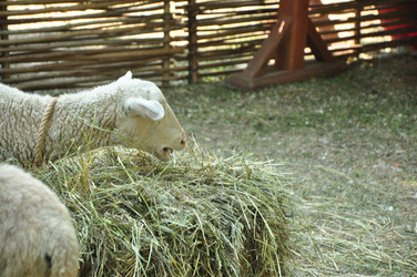 Similar image 21436366