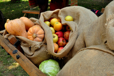 Similar image 21436368