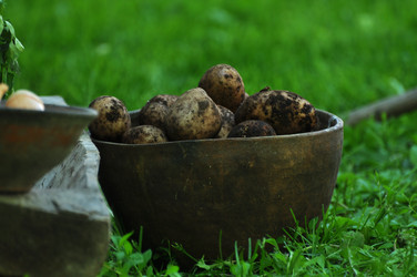 Similar image 21478580