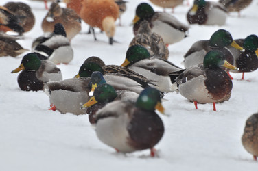 Similar image 21478583