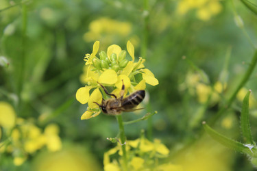 Similar image 21469394