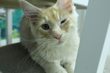 Similar image 21469802