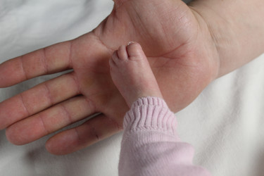 Similar image 21469397