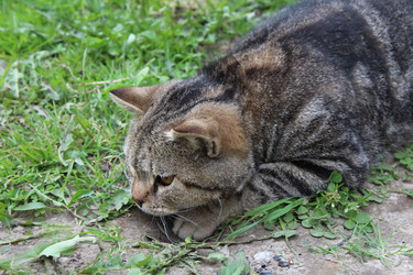 Similar image 21469399