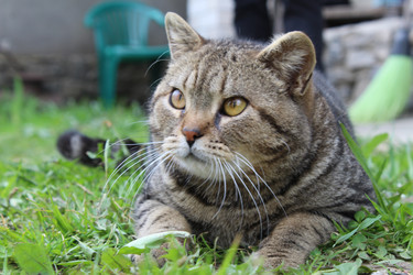 Similar image 21469400