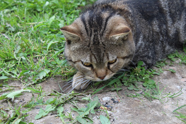 Similar image 21469401