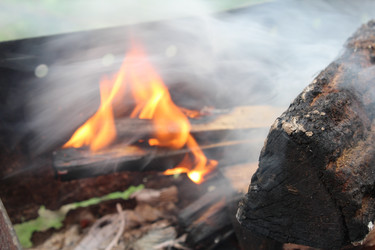 Similar image 21469805